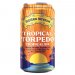 Sierra Nevada Tropical Torpedo Can 