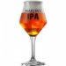 Copa Martin´s IPA 33 cl. 
