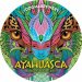 Dogma Ayahuasca Jungle Ale 0,5l 