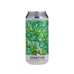 Duration Turtles All The Way Down 5.5% 440ml - The Salusbury Winestore