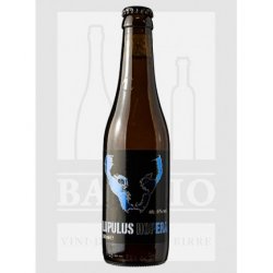 0330 BIRRA LUPULUS BLANCHE 4.6% VOL. - Baggio - Vino e Birra