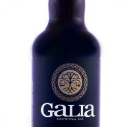 Galia Brewing Co Extra Stout Ale botella 500 cc - Birrava