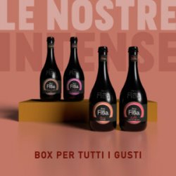 Box “Le nostre intense” - Birra Flea