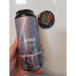 Vik Bonga 14°5,4% 0,5l - Pivní lednice