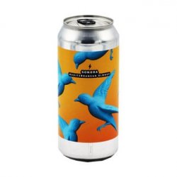 Garage Beer Co. - Sonora - Bierloods22