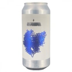 Garage Beer- Cystoseira - La Fabrik Craft Beer