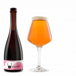 The Wild Beer Shnoodlepip 2022 - The Wild Beer Co