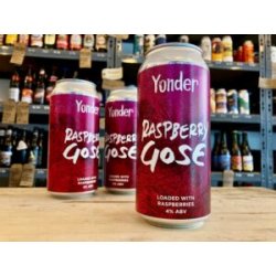 Wunder Brewing Company Raspberry Gose Sour