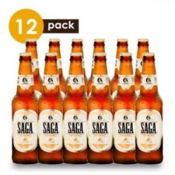 Artesanal 5 de Mayo Saga  Beerpack 12  - Boxxa