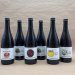 Sauerbier Tasting Paket – Exklusive, holzfassgereifte Biere 
