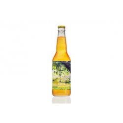 Elegast Cider Sparkling Orchard Cider 24x33CL - Van Bieren