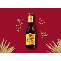 Shiner Bock Dark Lager - Thirsty