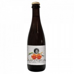 Orange Is My New Love Espiga                                                                                                  Sour Ale - OKasional Beer