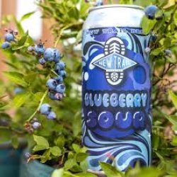 New Trail Blueberry Sour 24 pack16 oz cans - Beverages2u