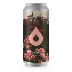 Polly's Everything Works Again IPA 6.1%ABV 440ml can - Stori Beer & Wine