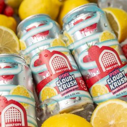 Vault City Brewing Pink Cloudy Krush