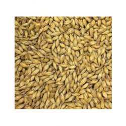 BlackSwaen©Biscuit 70-90 EBC - Beerland Store