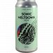 FUERST WIACEK Berlin Sonic Meltdown 