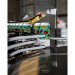 Gamma Brewing Company Goofy