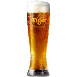 Tiger Bierglas - 6 x 30 cl - Bieronlineshop