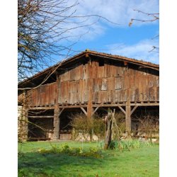 CASERÍO VASCO Y BODEGA DE SIDRA - Sagardoa Route