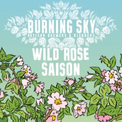 Burning Sky  Wild Rose Saison  6.5% - The Black Toad