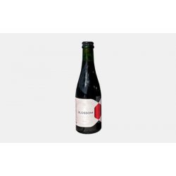 Attik / Guineu Blossom Attik / Guineu Blossom