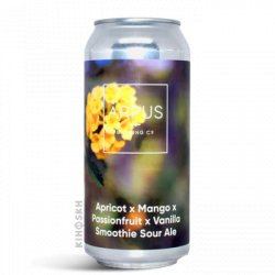 Ārpus Brewing Co Apricot x Mango x Passionfruit x Vanilla Smoothie Sour Ale - Kihoskh