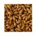 Castle malt MelanoMelanoidin - 80 EBC 
