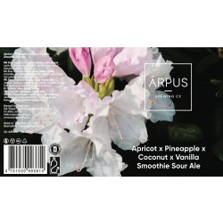 Ārpus Apricot x Pineapple x Coconut x Vanilla Smoothie Sour Ale - Ārpus Brewing