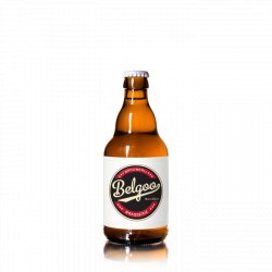 Belgoo | Saison Saisonneke Bio 4.4% 24x33cl - Brussels Beer Box