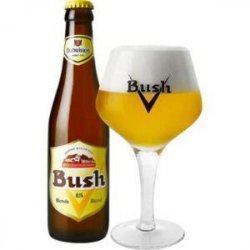 Bush  Blond - Bierwinkel de Verwachting