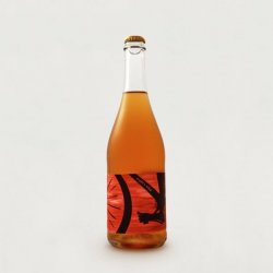 Pilton  Matt’s bike 2021 (750ml) - The Cat In The Glass