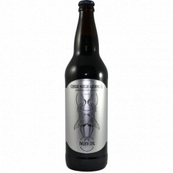 Central Waters Brewing Company -                                              Twenty Five - Just in Beer