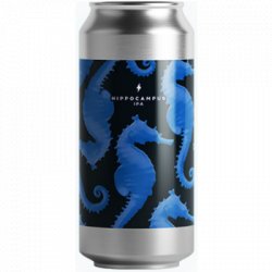 Hippocampus - OKasional Beer