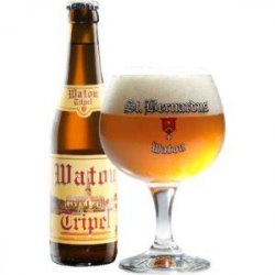 Watou  Tripel - Bierwinkel de Verwachting