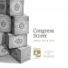 Trillium Brewing Congress Street 16 oz. Can 