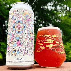 Hudson Valley Brewery Ikigai Sour IPA