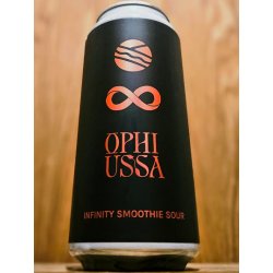 Pomona Island Brew Co. INFINITY SMOOTHIE SOUR