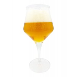 Terrest 33cl - Beer Glass Enthusiast