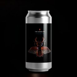 Garage Triangles 5,2% 44cl - La Domadora y el León