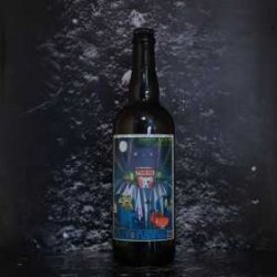 Jolly Pumpkin Jolly Pumpkin - Turbo Bam - 4.9% - 75cl - Bte - La Mise en Bière