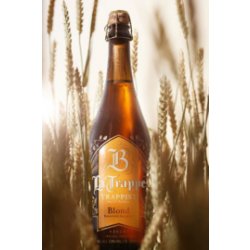 La Trappe Blond