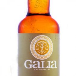 Galia Brewing Co Golden Ale botella 500 cc - Birrava