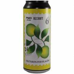 ReCraft -                                              NECTARON POD PLAŁŌM - Just in Beer