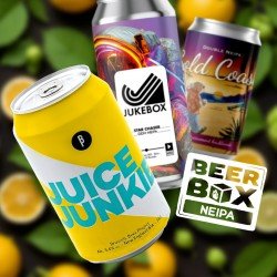 Beer Box NEIPA - 3x33cl & 3x44cl - Drinks Explorer