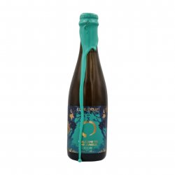 Equilibrium Welcome to the Jungle  Wild Ale - Verdins Bierwinkel