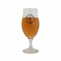 Verre Belgo Sapiens 25 cl - RB-and-Beer