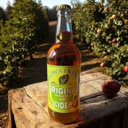 Gwatkin Cider Original Cider 50cl - Cantina Brassicola Digitale