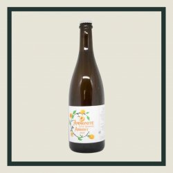 Ammonite Vendange Abricot 2023